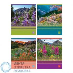 Тетрадь 48л, клетка, скрепка, «BG Воздух гор»