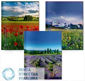 Тетрадь А4 96л, клетка,  скрепка «Альт Природа NEW»