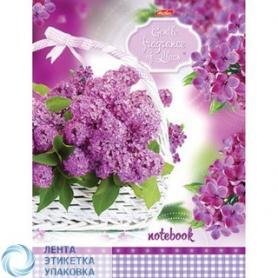 Блокнот А5, 120л, клетка/скрепка Hatber «Аромат сирени нежной»